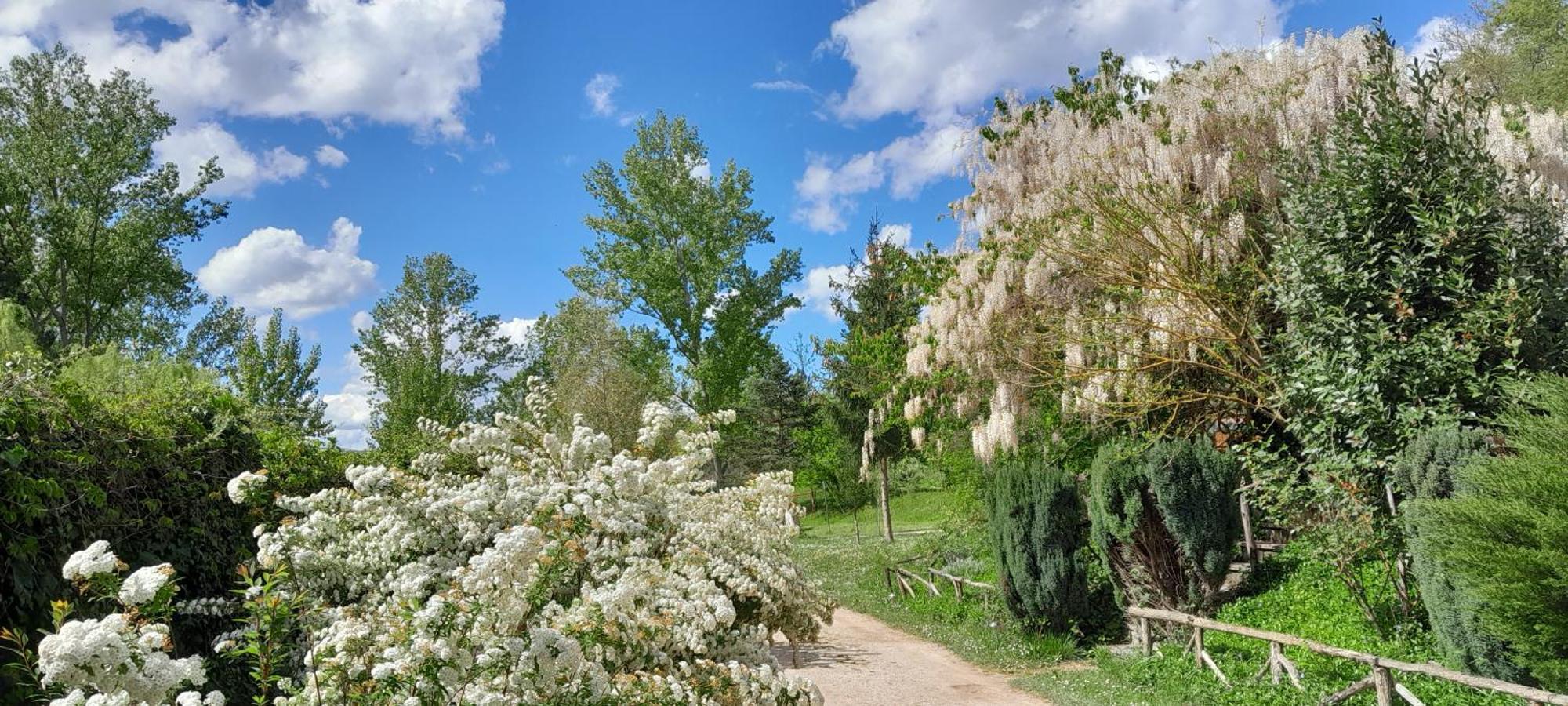 Rio Verde Camping Villaggio Costacciaro Esterno foto