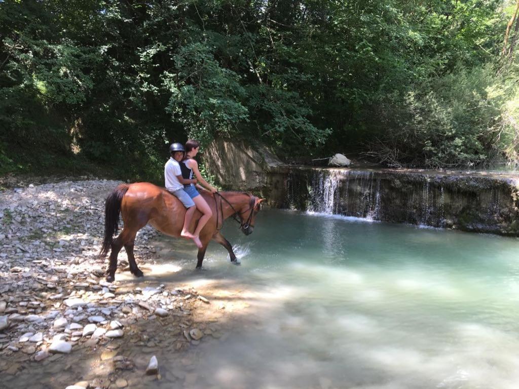 Rio Verde Camping Villaggio Costacciaro Esterno foto