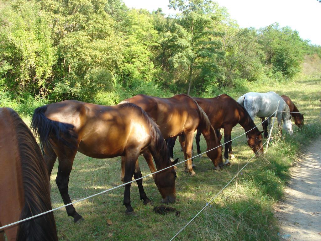 Rio Verde Camping Villaggio Costacciaro Esterno foto
